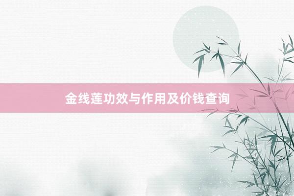 金线莲功效与作用及价钱查询