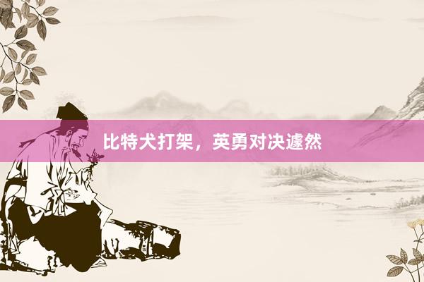 比特犬打架，英勇对决遽然