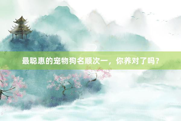 最聪惠的宠物狗名顺次一，你养对了吗？