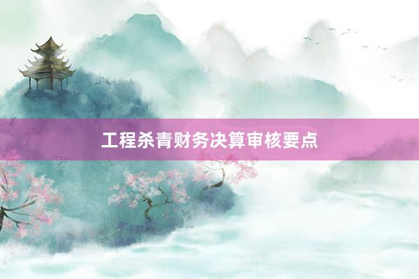 工程杀青财务决算审核要点